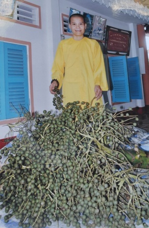 Vĩnh[-]Long:[-]Xôn[-]xao[-]cây[-]"lạ"[-]cho[-]hàng[-]vạn[-]quả
